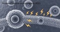 Microscopic image showing a cellular membrane with vesicles on its surface, Royalty Free Stock Photo