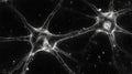 Microscopic Image Showing Two Neuron Cells Interconnected Royalty Free Stock Photo