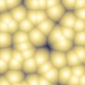Microscopic Lifeforms Closeup Microscope