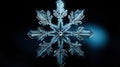 Microscopic Marvel: Snowflake Hexagonal Structures