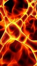 Microscopic observation of a cell's interior reveals a complex array of structures and a brilliant inner core