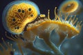 Microscopic organism creature