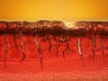 Microscopic Picture of a blood clot Royalty Free Stock Photo