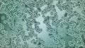 Microscopic plate of bacteria multiplying themselves 4K