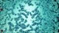 Microscopic plate of bacteria multiplying themselves Royalty Free Stock Photo