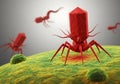 Microscopic red bacteriophage viruses attacking a green cellular surface in scientific research Royalty Free Stock Photo