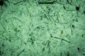 Microscopic shot of small patterns on a green surface