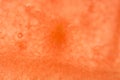 Microscopic shot of a watermelon as an abstract background