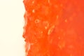 Microscopic shot of a watermelon as an abstract background