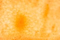 Microscopic shot of a yellow watermelon as an abstract background