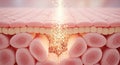 Microscopic View of Skin Cells with Nutrients Infusing into the Epidermis and Dermis Layers Royalty Free Stock Photo