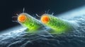Microscopic view of bacteria with green and orange structures on dark background Royalty Free Stock Photo