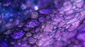 Microscopic view of beta cells in the pancreas highlighted by their distinct purple staining Royalty Free Stock Photo