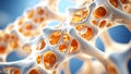Microscopic view of bone cells and structure showing osteoporosis and bone health Royalty Free Stock Photo
