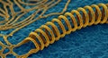 Microscopic view of a bright yellow helical bacteria structure Royalty Free Stock Photo