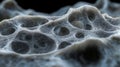 Detailed microscopic view of a single cell, exploring cellular structures, biological processes, and the building blocks of life