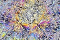 Microscopic view of citric acid crystals in polarized light