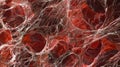 A microscopic view of a clot revealing the intricate meshwork of fibrin fibers and platelets that form to stop ing. This