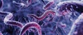 Microscopic View of Curved Spirillum Bacteria