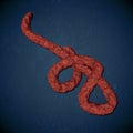 Microscopic view of the Ebola virus Royalty Free Stock Photo