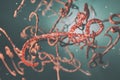 Microscopic view of the ebola virus illustration Royalty Free Stock Photo