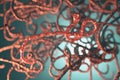 Microscopic view of the ebola virus illustration Royalty Free Stock Photo