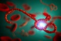 Microscopic view of the ebola virus illustration Royalty Free Stock Photo