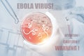 Microscopic view of the Ebola virus. Royalty Free Stock Photo