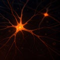 Glowing Neurons with Electrical Synapses in the Brain Royalty Free Stock Photo
