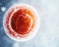 Microscopic View of a Human Embryo Cell Development Cellular Biology Ovum Zygote AI generated. Royalty Free Stock Photo