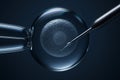 Microscopic view of an ICSI fertility treatment procedure with a needle and egg Royalty Free Stock Photo