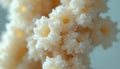 Microscopic view of irregularly shaped objects, likely bone structure, in cream, yellow hues. Intricate, crystalline texture Royalty Free Stock Photo