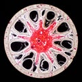 Microscopic View of a Juncus Stem Cross-Section Royalty Free Stock Photo