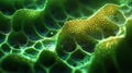 Microscopic view of leaf structure. Complex cellular network shows. Abstract organic pattern. Intricate details visible. Green