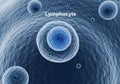Microscopic view of lymphocytes, key cells of the immune system Royalty Free Stock Photo