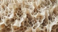 A microscopic view of a material resembling sand except each grain is constantly changing shape and rearranging itself