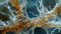 A microscopic view of a mycorrhizal relationship with the fungal hyphae wrapping around the delicate root hairs of a