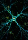 Microscopic View of a Neuron Network with Bright Green and Blue Highlights Royalty Free Stock Photo