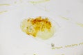 Microscopic view of planktonic wheel animal rotifer Royalty Free Stock Photo