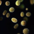 Microscopic view of pollen grains, featuring delicate spiny textures and smooth, geometric patterns Royalty Free Stock Photo