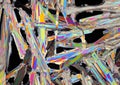 Microscopic view of potassium nitrate crystals in polarized light