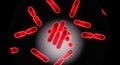 A microscopic view of red rod shaped bacteria on a black background Royalty Free Stock Photo