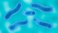 Microscopic view of the Shigella bacteria that causes a disease called Shigellosis Royalty Free Stock Photo