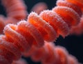 Microscopic view shows red orange spiral bacteria colony. Detailed cellular structure with twisting form and glossy surface. Royalty Free Stock Photo