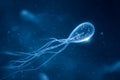 Microscopic view of a single sperm cell swimming through a dark blue fluid, showcasing its unique structure and Royalty Free Stock Photo