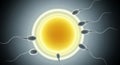 Microscopic View of Sperm Cells Surrounding an Egg, Representing Human Fertilization Process Royalty Free Stock Photo
