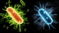 A microscopic view of two distinct bacteria, one orange and one blue, against a black background. Royalty Free Stock Photo