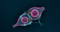 Microscopic view of two vibrant protist organisms Royalty Free Stock Photo