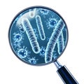 Microscopic view of virus cells under magnifying glass Royalty Free Stock Photo