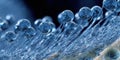 Microscopic view of water droplets on a surface in blue tones Royalty Free Stock Photo